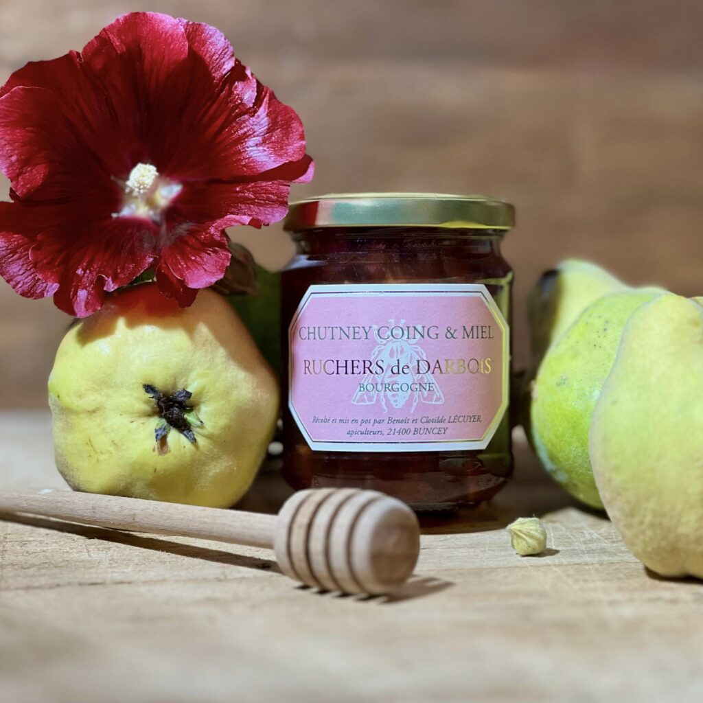 Chutney bio coing et miel