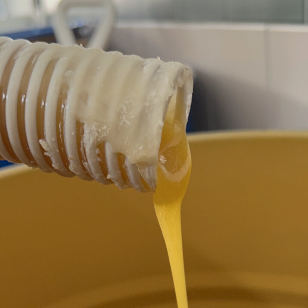 Miel filtré à froid