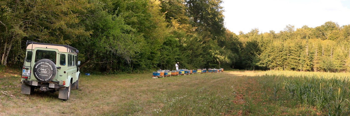 Panorama ruches et land rover defender