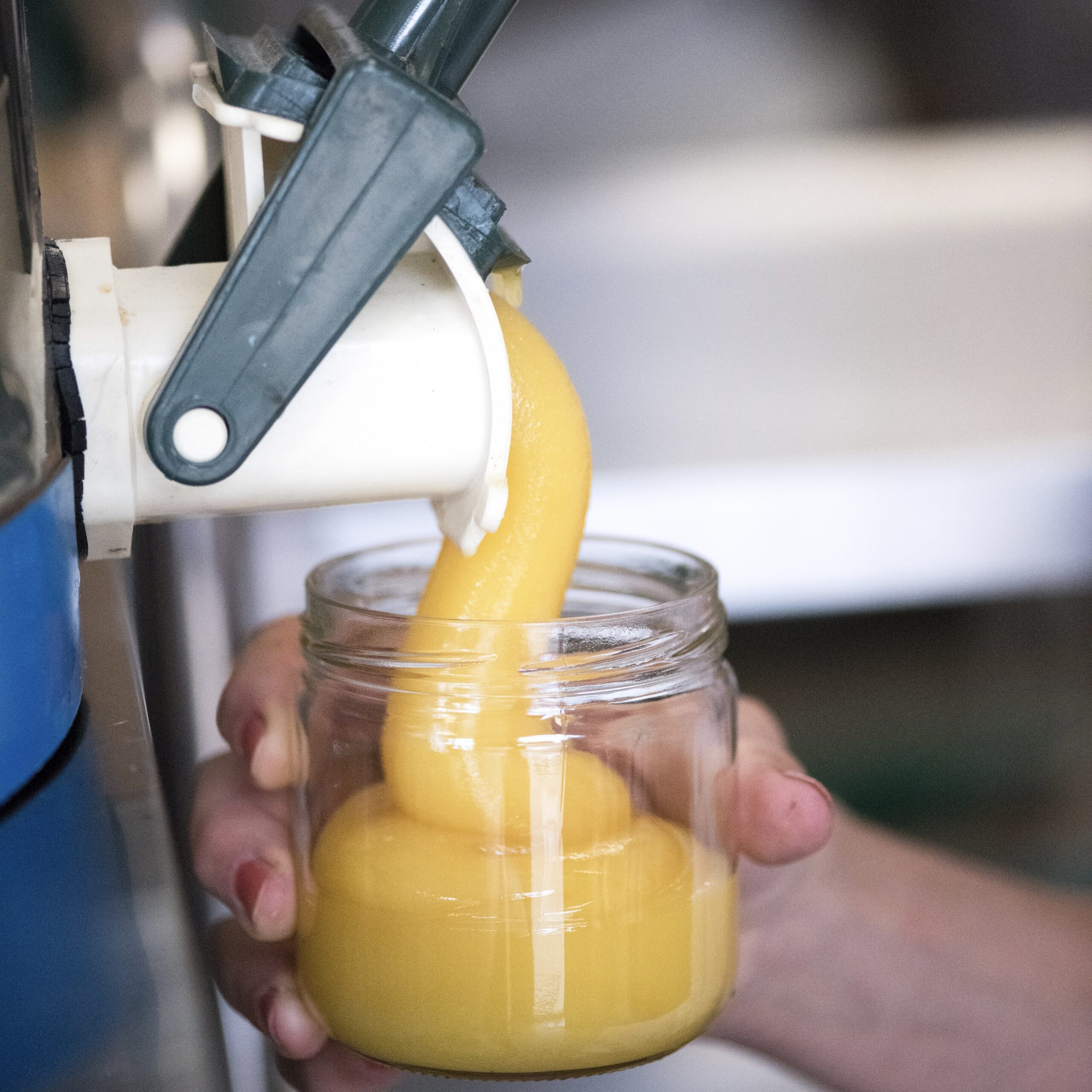 Miel mis en pot à froid