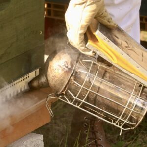 enfumoir devant une ruche apiculture