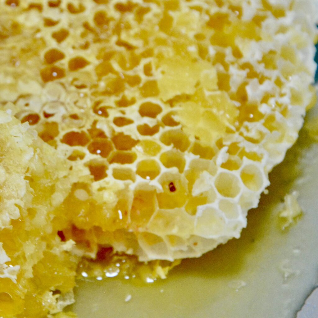 miel bio en rayon ©Céline Lecomte