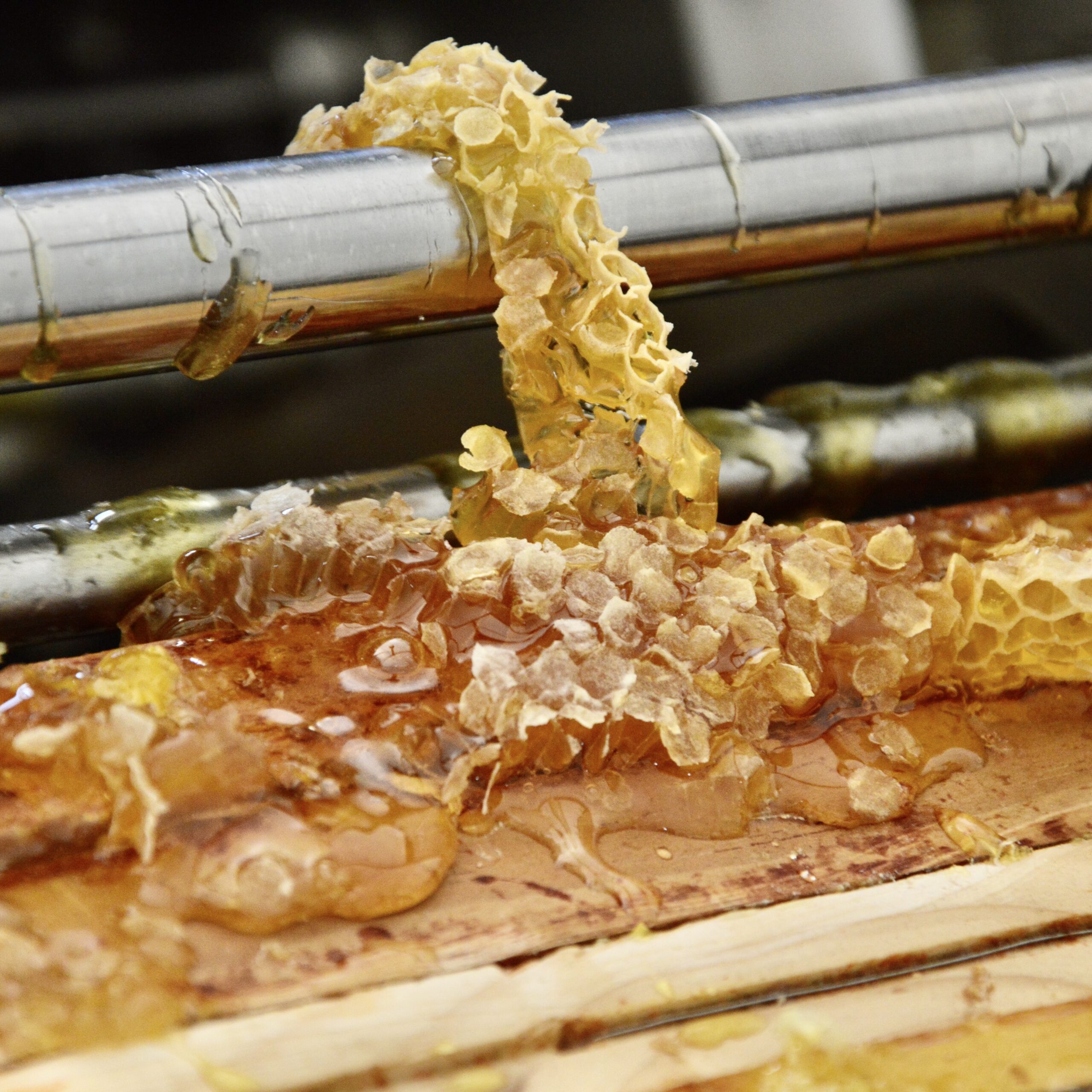 Le miel est désoperculé